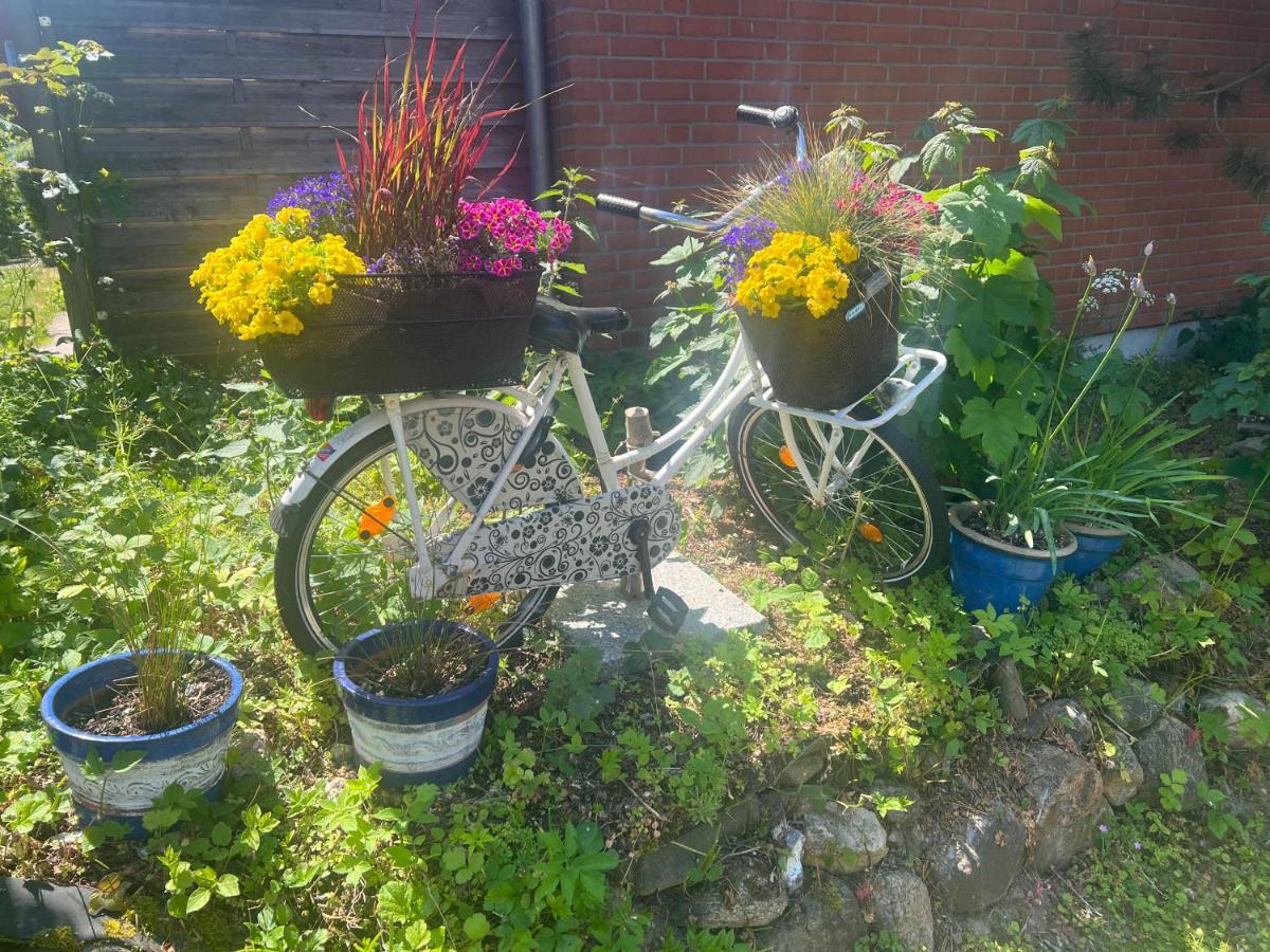 Segelund - Zeit Fuer Uns- Ruhige Und Sonnige Ferienwohnung Mit Terrasse Und Garten Nahe Strand Und Ostsee Schonhagen  Bagian luar foto